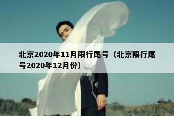 北京2020年11月限行尾号（北京限行尾号2020年12月份） 第1张