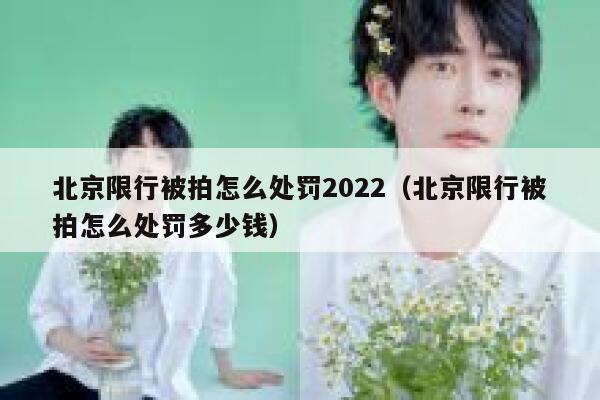 北京限行被拍怎么处罚2022（北京限行被拍怎么处罚多少钱） 第1张