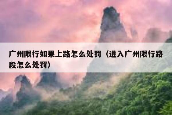 广州限行如果上路怎么处罚（进入广州限行路段怎么处罚） 第1张