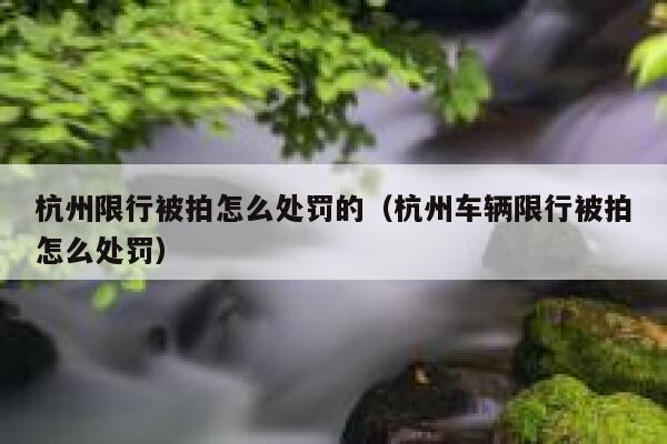 杭州限行被拍怎么处罚的（杭州车辆限行被拍怎么处罚） 第1张