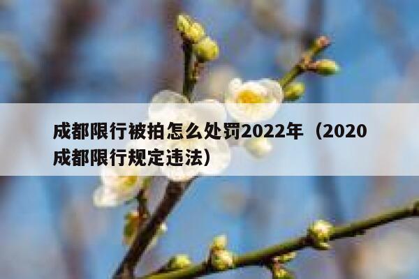 成都限行被拍怎么处罚2022年（2020成都限行规定违法） 第1张