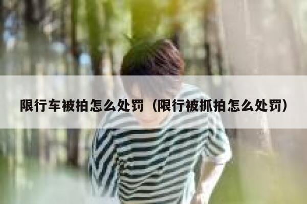 限行车被拍怎么处罚（限行被抓拍怎么处罚） 第1张