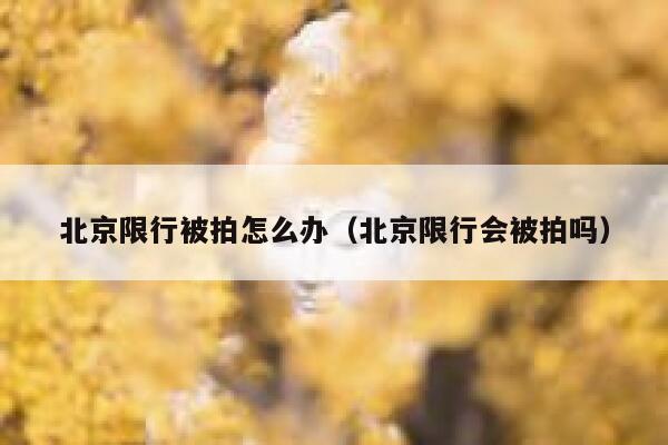 北京限行被拍怎么办（北京限行会被拍吗） 第1张