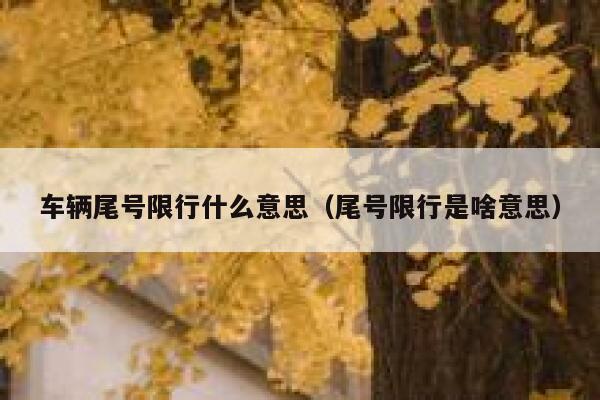 车辆尾号限行什么意思（尾号限行是啥意思） 第1张