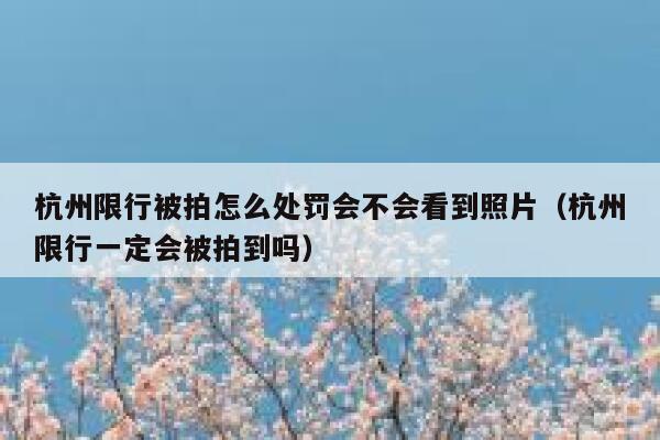 杭州限行被拍怎么处罚会不会看到照片（杭州限行一定会被拍到吗） 第1张