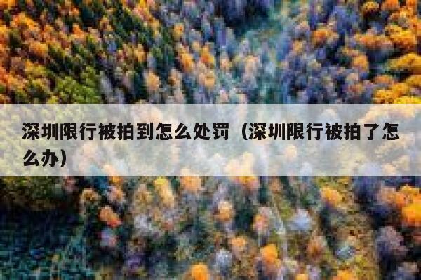 深圳限行被拍到怎么处罚（深圳限行被拍了怎么办） 第1张