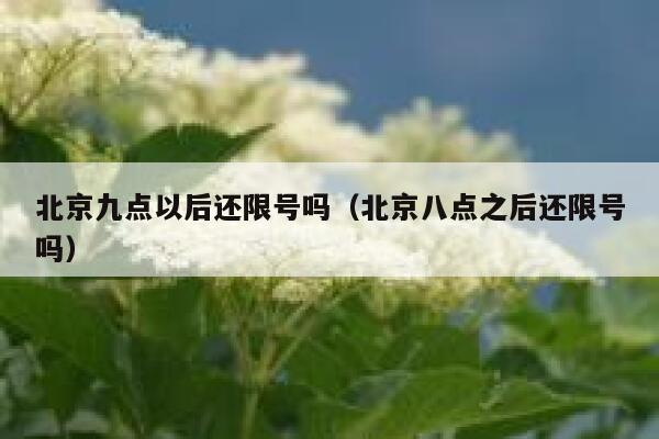 北京九点以后还限号吗（北京八点之后还限号吗） 第1张