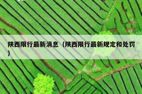 陕西限行最新消息（陕西限行最新规定和处罚） 第1张