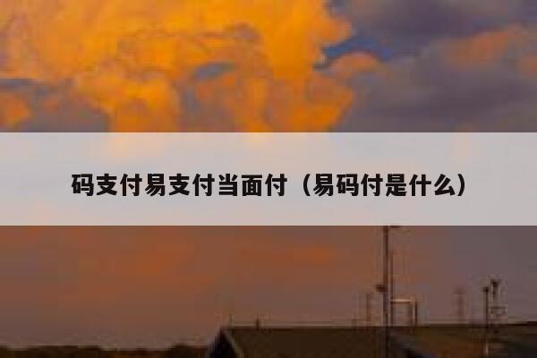 码支付易支付当面付（易码付是什么） 第1张