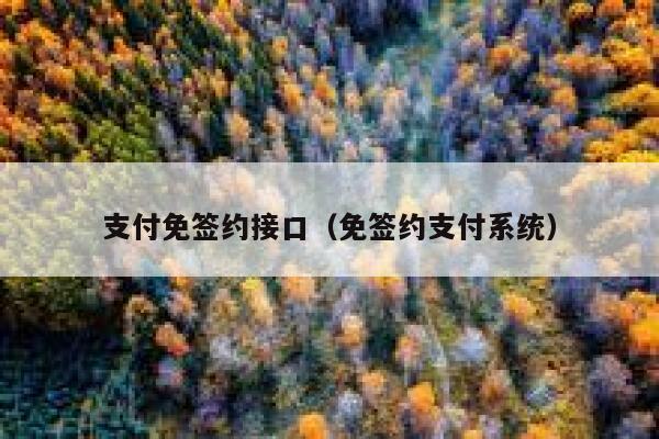 支付免签约接口（免签约支付系统） 第1张