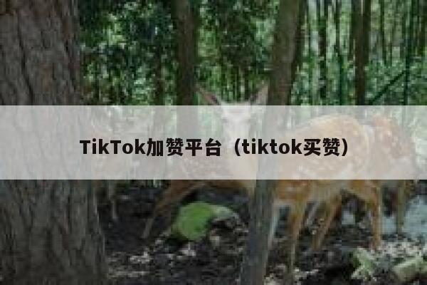 TikTok加赞平台（tiktok买赞） 第1张