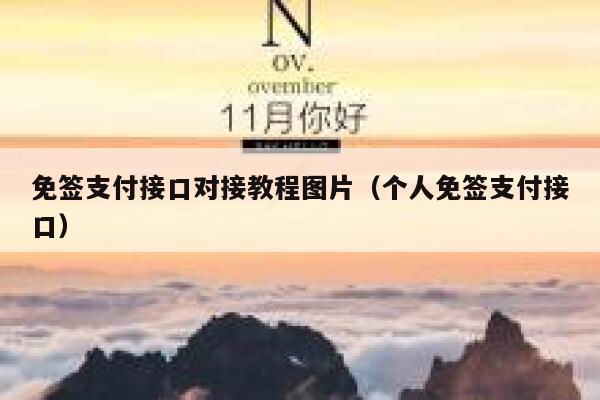 免签支付接口对接教程图片（个人免签支付接口） 第1张