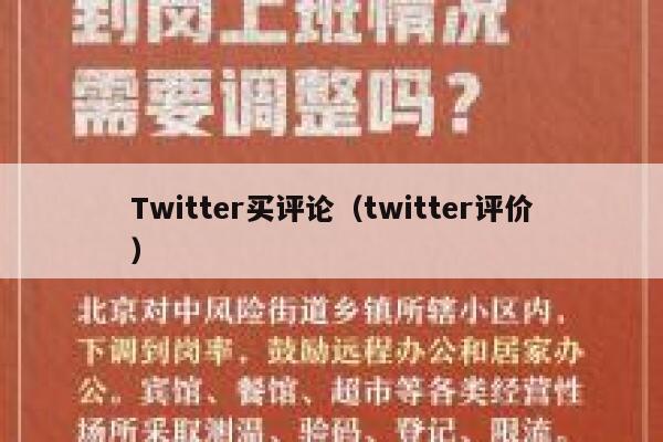 Twitter买评论（twitter评价） 第1张