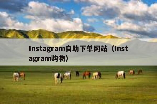 Instagram自助下单网站（Instagram购物） 第1张