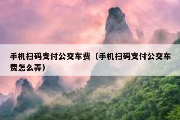 手机扫码支付公交车费（手机扫码支付公交车费怎么弄） 第1张