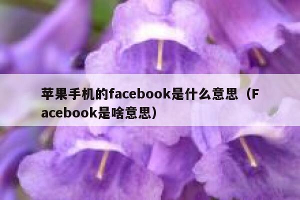 苹果手机的facebook是什么意思（Facebook是啥意思） 第1张