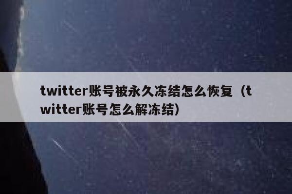 twitter账号被永久冻结怎么恢复（twitter账号怎么解冻结） 第1张