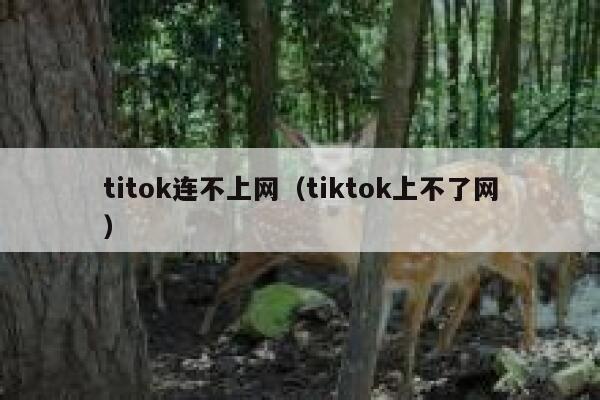 titok连不上网（tiktok上不了网） 第1张