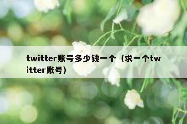 twitter账号多少钱一个（求一个twitter账号） 第1张