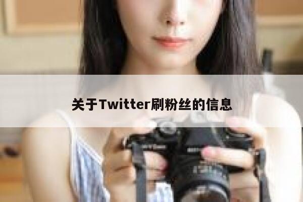 关于Twitter刷粉丝的信息 第1张