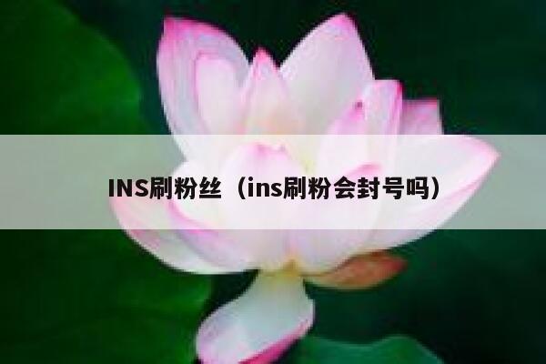 INS刷粉丝（ins刷粉会封号吗） 第1张