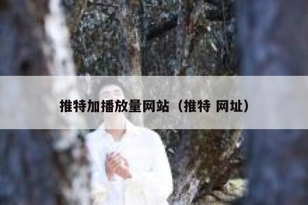 推特加播放量网站（推特 网址） 第1张