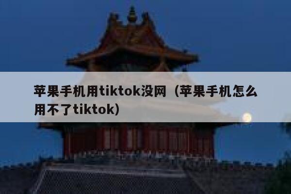 苹果手机用tiktok没网（苹果手机怎么用不了tiktok） 第1张