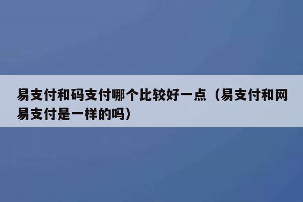 易支付和码支付哪个比较好一点（易支付和网易支付是一样的吗） 第1张