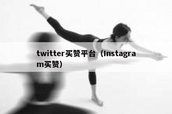 twitter买赞平台（Instagram买赞） 第1张