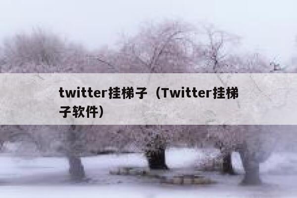 twitter挂梯子（Twitter挂梯子软件） 第1张