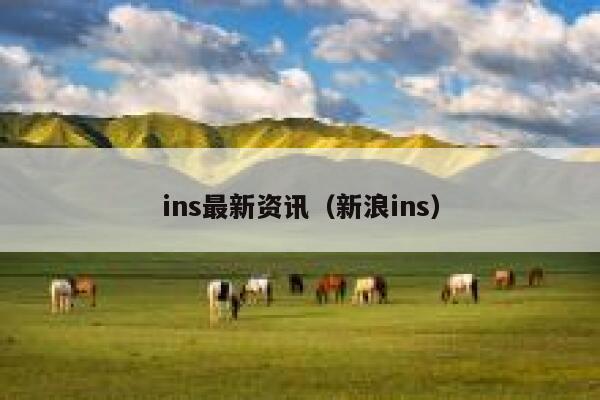 ins最新资讯（新浪ins） 第1张