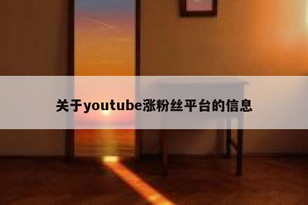 关于youtube涨粉丝平台的信息 第1张