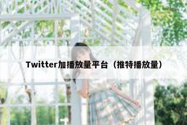 Twitter加播放量平台（推特播放量） 第1张