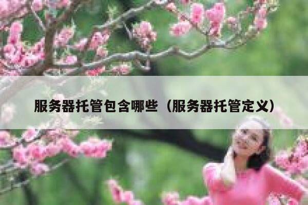 服务器托管包含哪些（服务器托管定义） 第1张