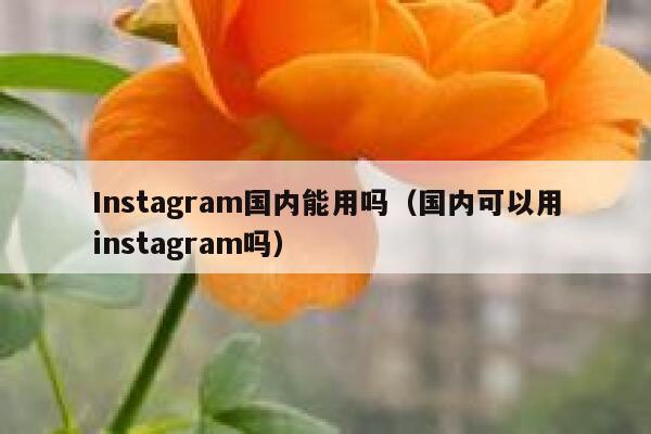 Instagram国内能用吗（国内可以用instagram吗） 第1张