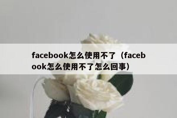 facebook怎么使用不了（facebook怎么使用不了怎么回事） 第1张