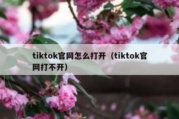 tiktok官网怎么打开（tiktok官网打不开） 第1张