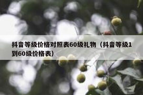 抖音等级价格对照表60级礼物（抖音等级1到60级价格表） 第1张