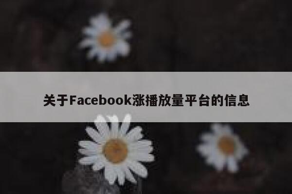 关于Facebook涨播放量平台的信息 第1张