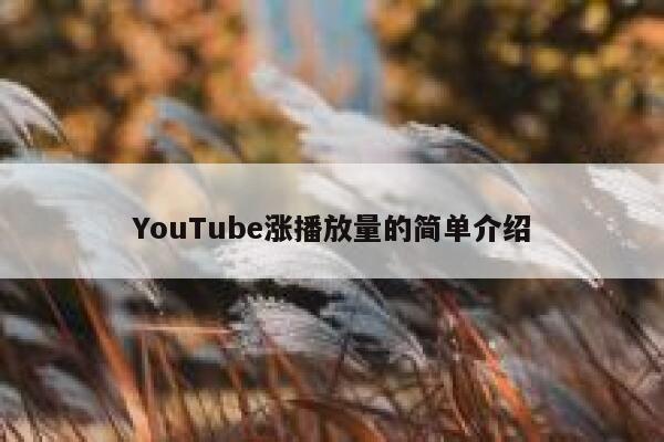 YouTube涨播放量的简单介绍 第1张