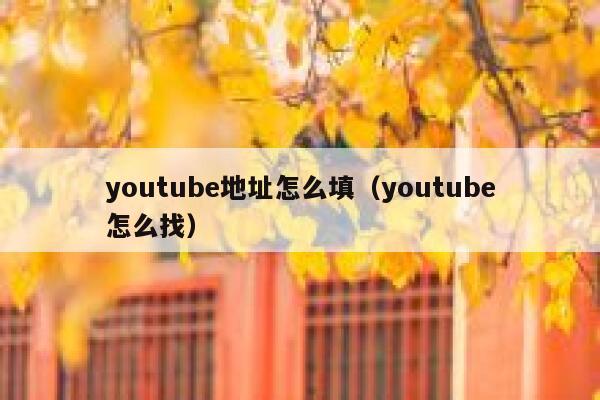 youtube地址怎么填（youtube怎么找） 第1张