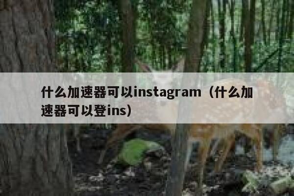 什么加速器可以instagram（什么加速器可以登ins） 第1张