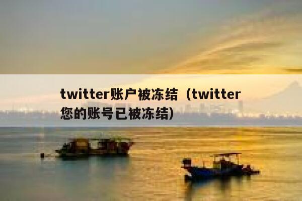 twitter账户被冻结（twitter您的账号已被冻结） 第1张