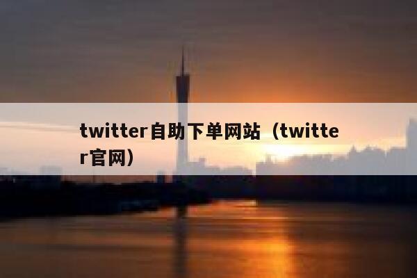 twitter自助下单网站（twitter官网） 第1张