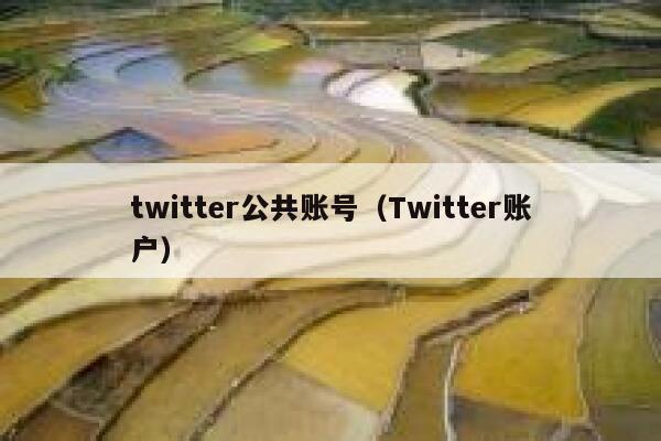 twitter公共账号（Twitter账户） 第1张