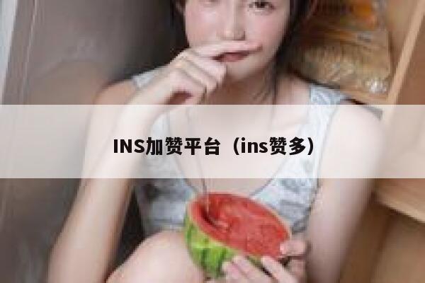 INS加赞平台（ins赞多） 第1张