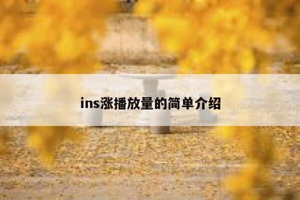 ins涨播放量的简单介绍 第1张