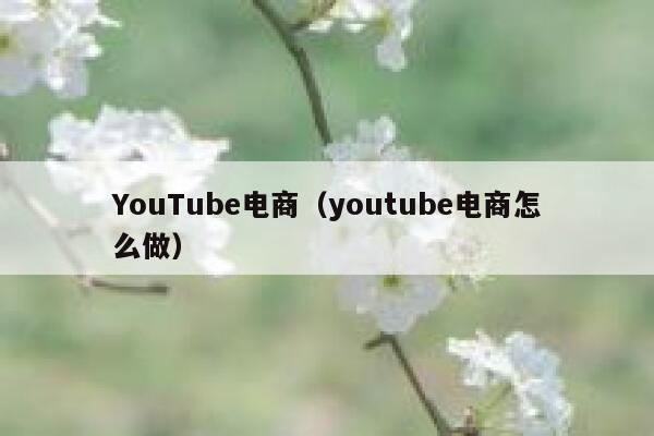 YouTube电商（youtube电商怎么做） 第1张