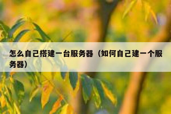 怎么自己搭建一台服务器（如何自己建一个服务器） 第1张