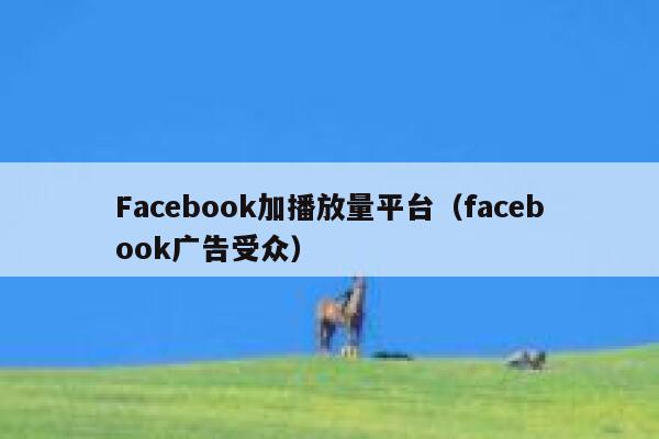 Facebook加播放量平台（facebook广告受众） 第1张